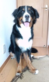 いろいろな角度から