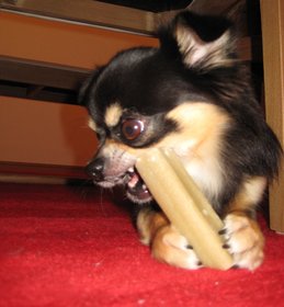 ♪I LOVE O YA TSU♪