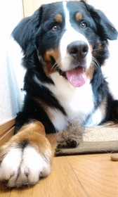 いろいろな角度から